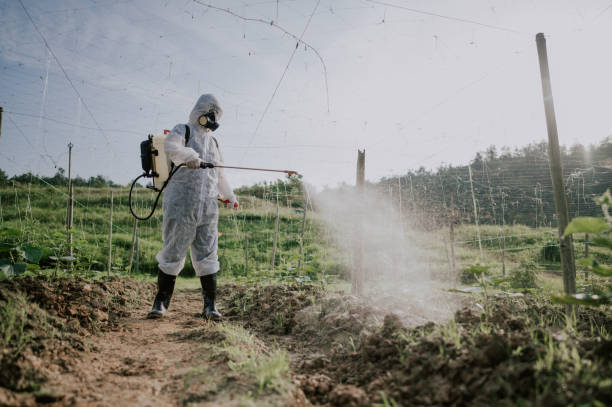 Best Pest Control Cost  in Odenville, AL