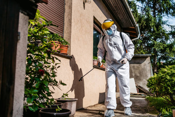 Best Pest Inspection Near Me  in Odenville, AL