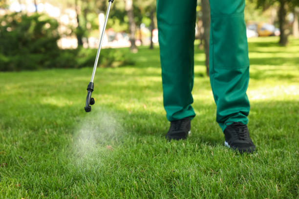 Best Pest Prevention Services  in Odenville, AL