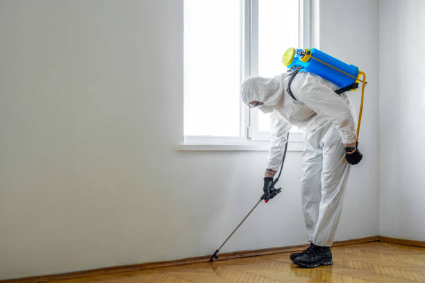Best Pest Control Near Me in Odenville, AL