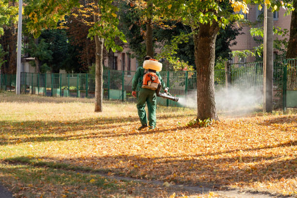 Best Rat Extermination Near Me  in Odenville, AL