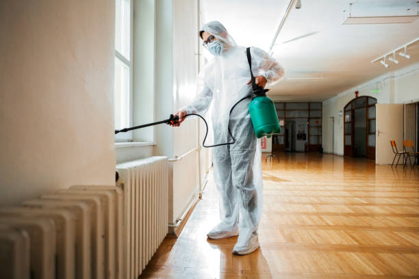 Best Flea Control Services  in Odenville, AL