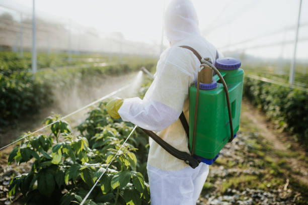 Best Cockroach Control Services  in Odenville, AL